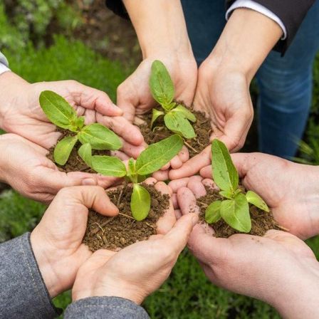 Mehrere Menschen halten Babypflanzen in ihren Händen und symbolisieren Einheit in Umweltschutzbemühungen.