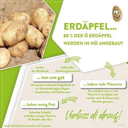 Das Bild zeigt Kartoffeln im Boden mit einem Plakat im Hintergrund. Es hebt hervor, dass 80% der Kartoffeln biologisch angebaut werden. Es wird auch erwähnt, dass Kartoffeln fett- und kalorienarm sind und viele Vitamine enthalten, einschließlich Vitamin C.