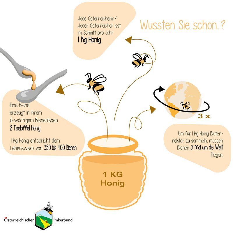 Illustration, die zeigt, wie viel Arbeit Bienen leisten, um Honig zu produzieren. Jeder Österreicher produziert 1 kg Honig pro Jahr. Eine Biene produziert in ihrer 6-wöchigen Lebensdauer 2 Teelöffel Honig. Um 1 kg zu produzieren, müssen Bienen 3 Mal um die Welt fliegen.