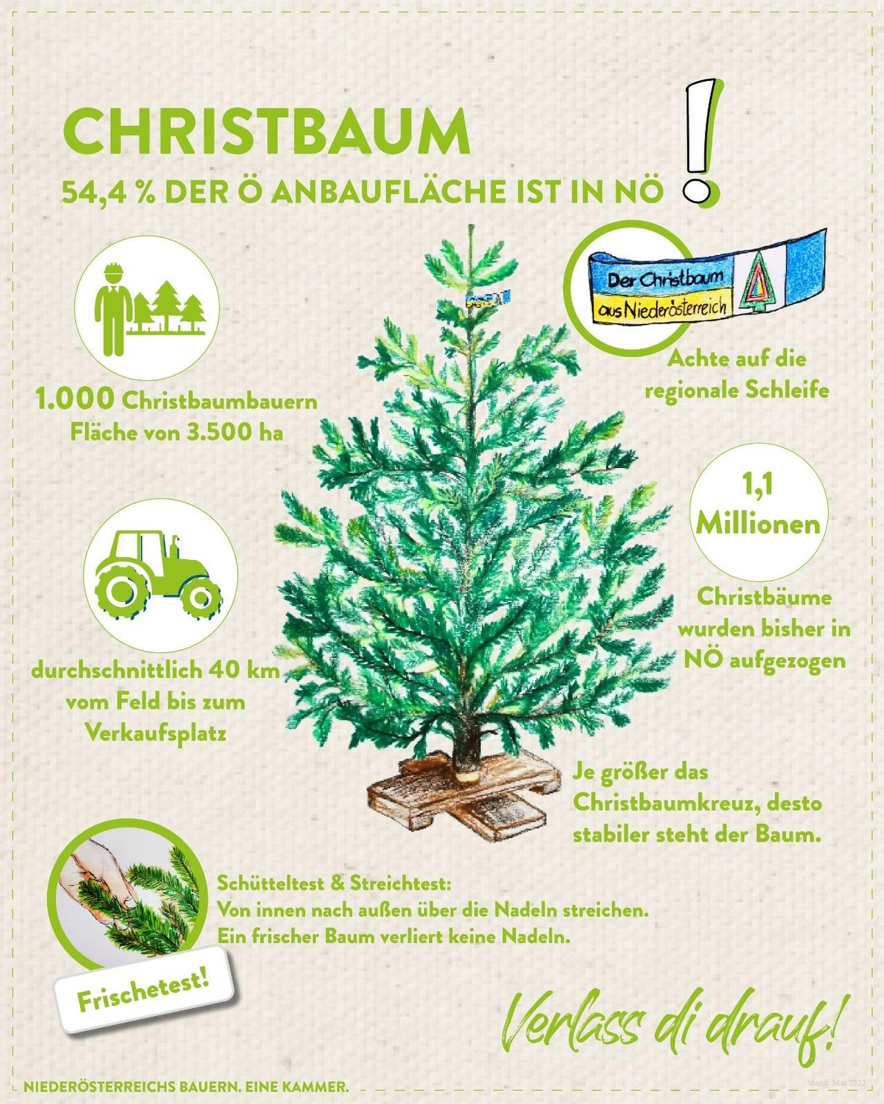 Infografik über Weihnachtsbäume. 1.000 Weihnachtsbaumbauern decken 3.500 Hektar ab. Bäume legen durchschnittlich 40 km vom Bauernhof zum Markt zurück. NO ist 54,4 % der Anbaufläche. Bäume wurden 1,1 Millionen Jahre lang in NO angebaut. Größeres Kreuz, stabiler Baum.
