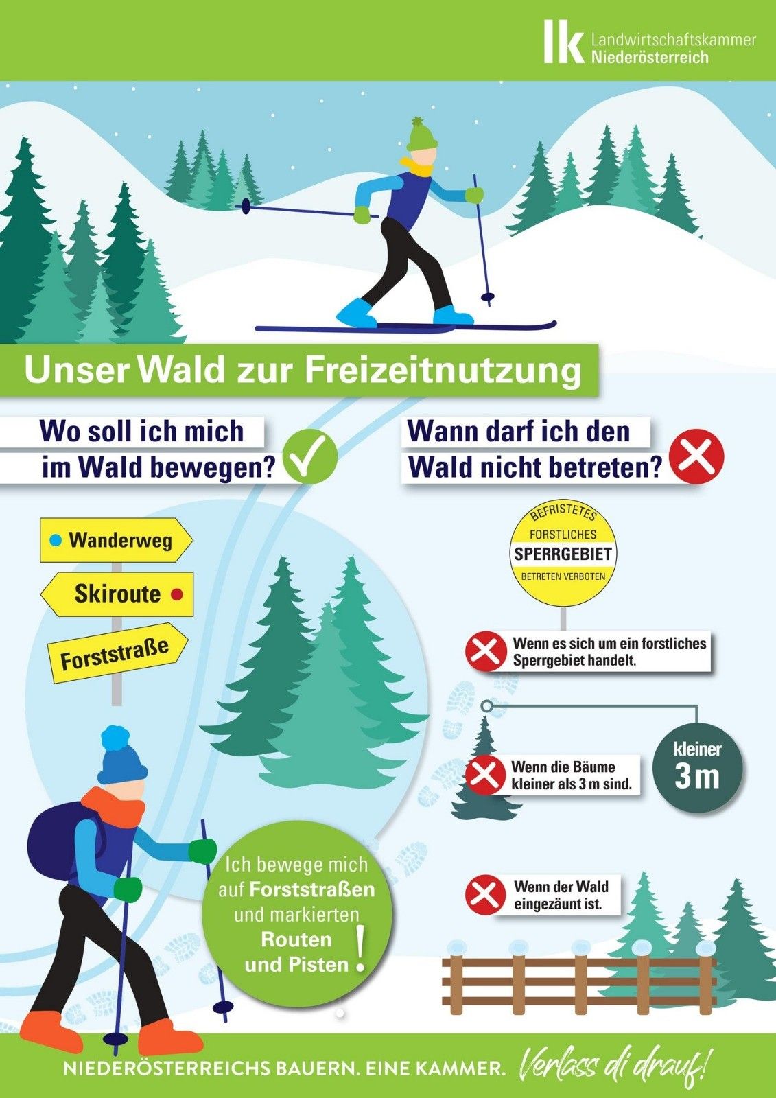 Ein Infografik zeigt eine Person, die im Wald Ski fährt, mit Regeln für Waldwege, Skipisten und gesperrte Bereiche. Die Regeln erlauben die Bewegung auf Waldwegen und markierten Skipisten.
