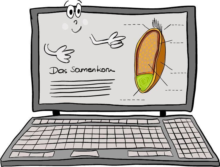 Ein geöffneter Laptop mit einem Bildschirm, der eine Karikatur eines Samens zeigt, beschriftet mit 'Das Samenkorn', und einer Karikaturfigur, die auf Teile des Samens zeigt.