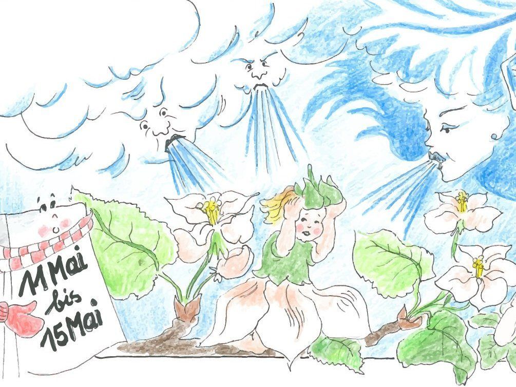 Eine phantasievolle Illustration zeigt Feen, die Pflanzen mit einer Flasche und Flügeln bewässern, während ein Etikett 'Mais Mai' liest.