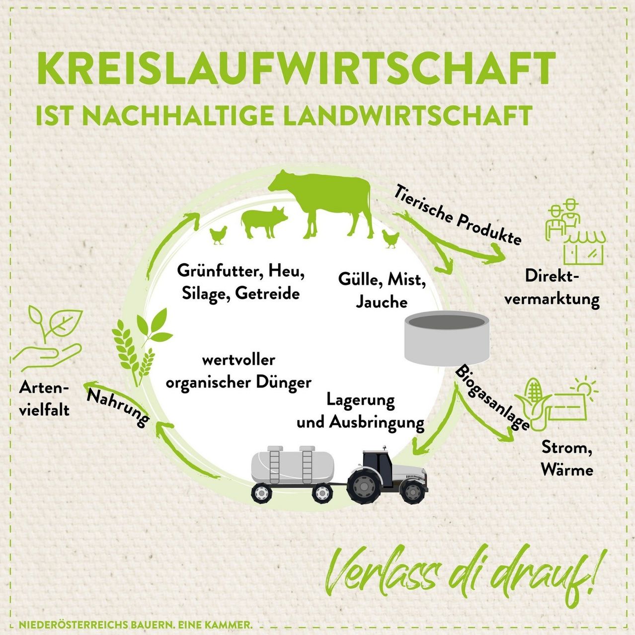 Infografik über kreislaufwirtschaft, mit einem Zyklus von Nutztierprodukten, Tierfutter, Dünger und Biogasanlage. Der Zyklus betont nachhaltige Landwirtschaft und organischen Dünger.