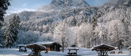 Eine Winterszene mit einem verschneiten Berg, Kiefern, einer Holzblockhütte und Rehen in einer verschneiten Landschaft mit Holzhütten.