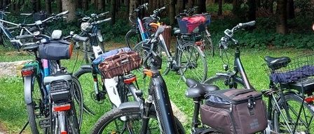 Eine Reihe von Elektrofahrrädern, die auf Gras mit Bäumen im Hintergrund geparkt sind. Jedes Fahrrad hat einen Korb und eine Tasche hinten.