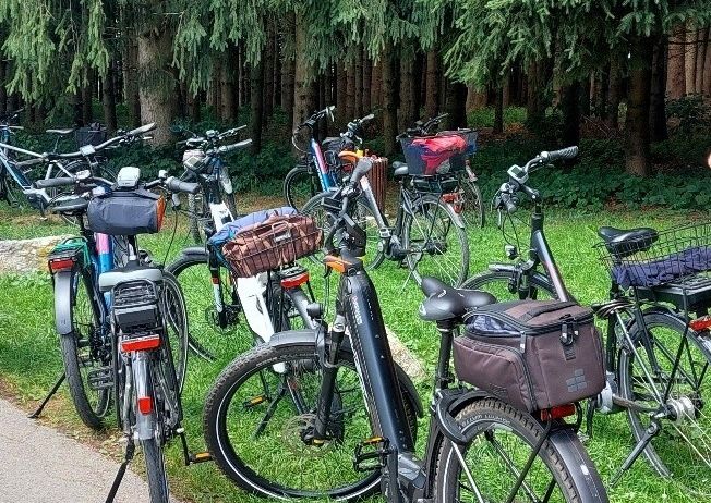 A row of electric bicycles parked on grass with trees in the background. Each bike has a basket and a bag on the back.