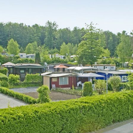 Ein Blick auf ein Wohngebiet mit mehreren Häusern und Bäumen, umgeben von einer grünen Hecke.