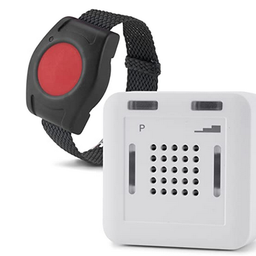 Ein schwarzes und weißes Gerät mit einem roten Knopf und einem schwarzen Riemen befindet sich neben einem weißen Gerät mit dem Buchstaben P.