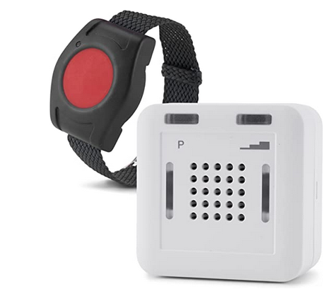 Ein schwarzes und weißes Gerät mit einem roten Knopf und einem schwarzen Riemen befindet sich neben einem weißen Gerät mit dem Buchstaben P.