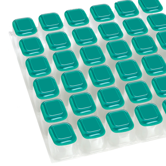 Ein Raster aus 36 türkisfarbenen, rechteckigen Behältern in einem transparenten Plastiktablett, jeder mit einem leicht erhöhten Deckel. Die Behälter sind ordentlich in einer 6x6-Anordnung organisiert.