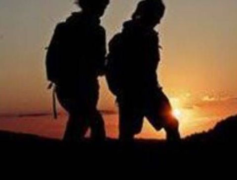 v1_migrated_image_58452821