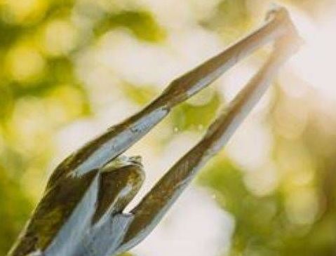 v1_migrated_image_57875208