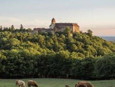 v1_migrated_image_33096323