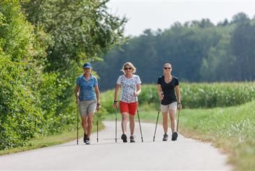 Drei Frauen gehen mit Stöcken auf einem gepflasterten Weg in einem Park. Der Weg ist von grünem Gras und Büschen umgeben. Sie tragen Sonnenbrillen und Sneakers. Die Frau in der Mitte trägt ein Blumenhemd. In der Ferne gibt es Bäume und ein Maisfeld.