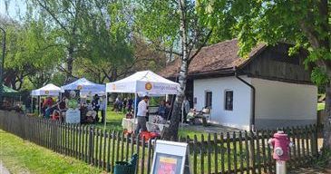 Ein sonniger Tag in einem Park mit Zelten, Menschen und einem Haus. Im Hintergrund befinden sich ein Zaun, ein Feuerhydrant und Bäume.