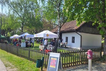 Ein sonniger Tag in einem Park mit Zelten, Menschen und einem Haus. Im Hintergrund befinden sich ein Zaun, ein Feuerhydrant und Bäume.