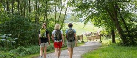 Drei Menschen wandern auf einem Pfad, umgeben von Bäumen und Gras an einem sonnigen Tag.
