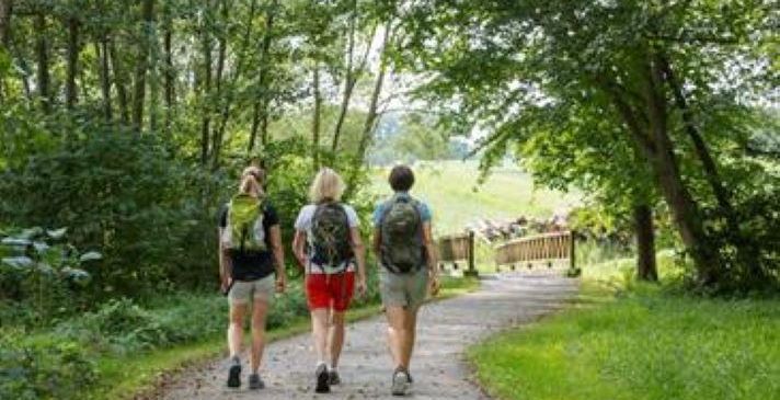 Drei Personen mit Rucksäcken gehen auf einem Pfad in einem Wald mit grünem Gras und Bäumen.
