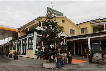 Ein kleiner Weihnachtsbaum steht vor einem gelben Gebäude mit dem Schild 'Café & Restaurant'. Um den Baum herum stehen Topfpflanzen und Fässer. Der Himmel ist bedeckt.