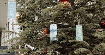 Ein geschmückter Weihnachtsbaum steht draußen mit Ornamenten und hängenden Etiketten. Ein Gebäude mit Treppen ist im Hintergrund.