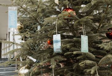 Ein geschmückter Weihnachtsbaum steht draußen mit Ornamenten und hängenden Etiketten. Ein Gebäude mit Treppen ist im Hintergrund.
