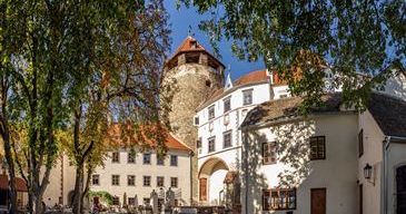 Ein historischer Innenhof mit einem hohen Turm und weißen Gebäuden, umgeben von üppigem grünen Bäumen und einem klaren blauen Himmel.