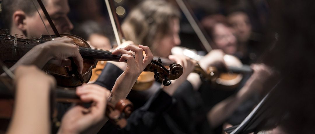 Eine Gruppe von Musikern spielt Violinen während eines Konzerts, mit verschwommenen Gesichtern von Menschen im Hintergrund.
