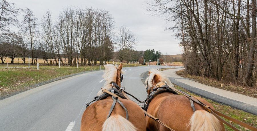 Zwei braune Pferde mit langen Schwänzen sind angespannt und ziehen eine Kutsche die Straße hinunter. Die Straße ist von Bäumen und Gras umgeben.