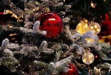 Bild enthält, Tree, Fir, Christmas, Christmas Decorations, Festival, Christmas Tree, Accessories, Cricket Ball