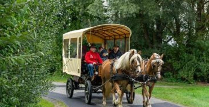Bild enthält, Horse Cart, Transportation, Vehicle, Wagon, Person, Animal, Horse, Mammal