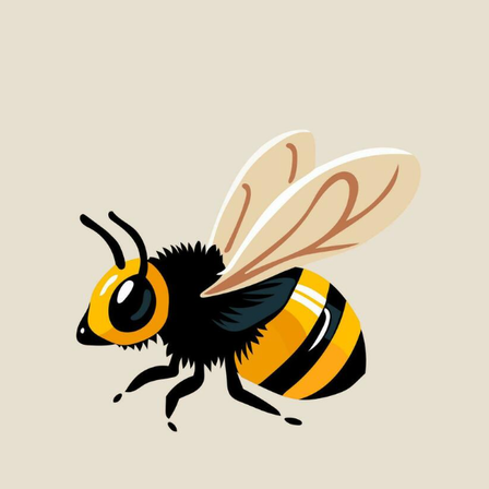Animal, Bee, Insect, Invertebrate, Wasp, Honey Bee, Apidae, Bumblebee, Bird