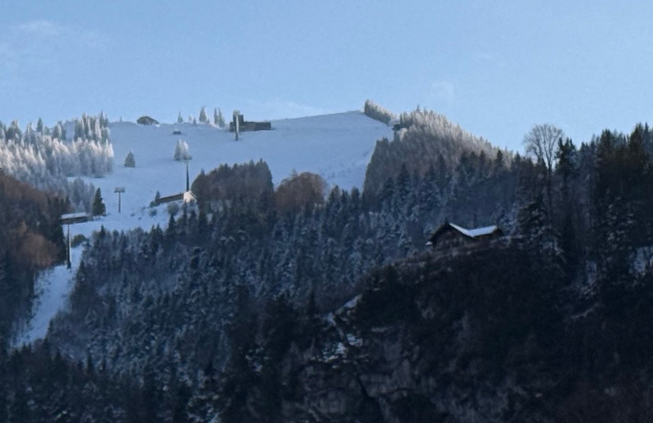 A snowy mountain with pine trees and a small house in the foreground. In the distance, a structure on the snowy hill.