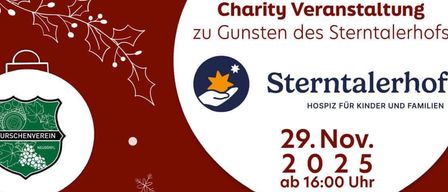 Plakat für Sterntalerhof Advent-Veranstaltung. Datum: 29. Nov. 2025. Zeit: 16:00 Uhr. Angebote umfassen Punsch, Glühwein, Getränke, Bernis Apfelstrudel Shot, Kartoffelpuffer, Debreziner & Frankfurter mit Gebäck und Steckerlbrot für Kinder.
