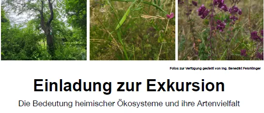 Ein Flyer für eine Exkursion rund um das Naturdenkmal Speierling, mit drei Bildern von lokaler Flora und Fauna und Details über Datum, Ort und Referenten der Veranstaltung.