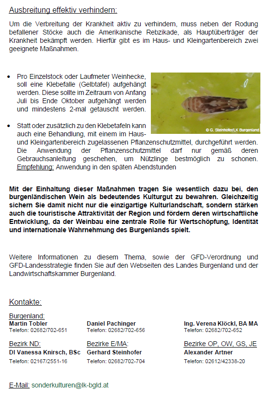 The image contains a document with text and a photo of a vine weevil. The document provides instructions on preventing the spread of a disease by using traps and pesticides. Contact details for different regions are also listed.