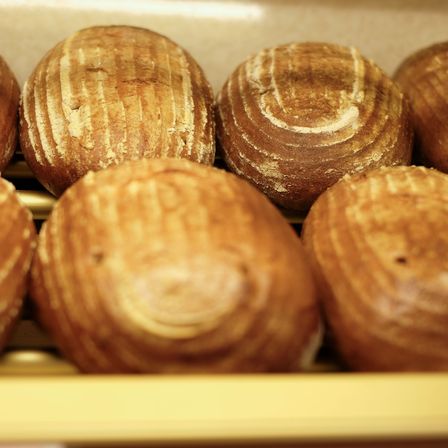 Image contains, Bread, Food, Bun