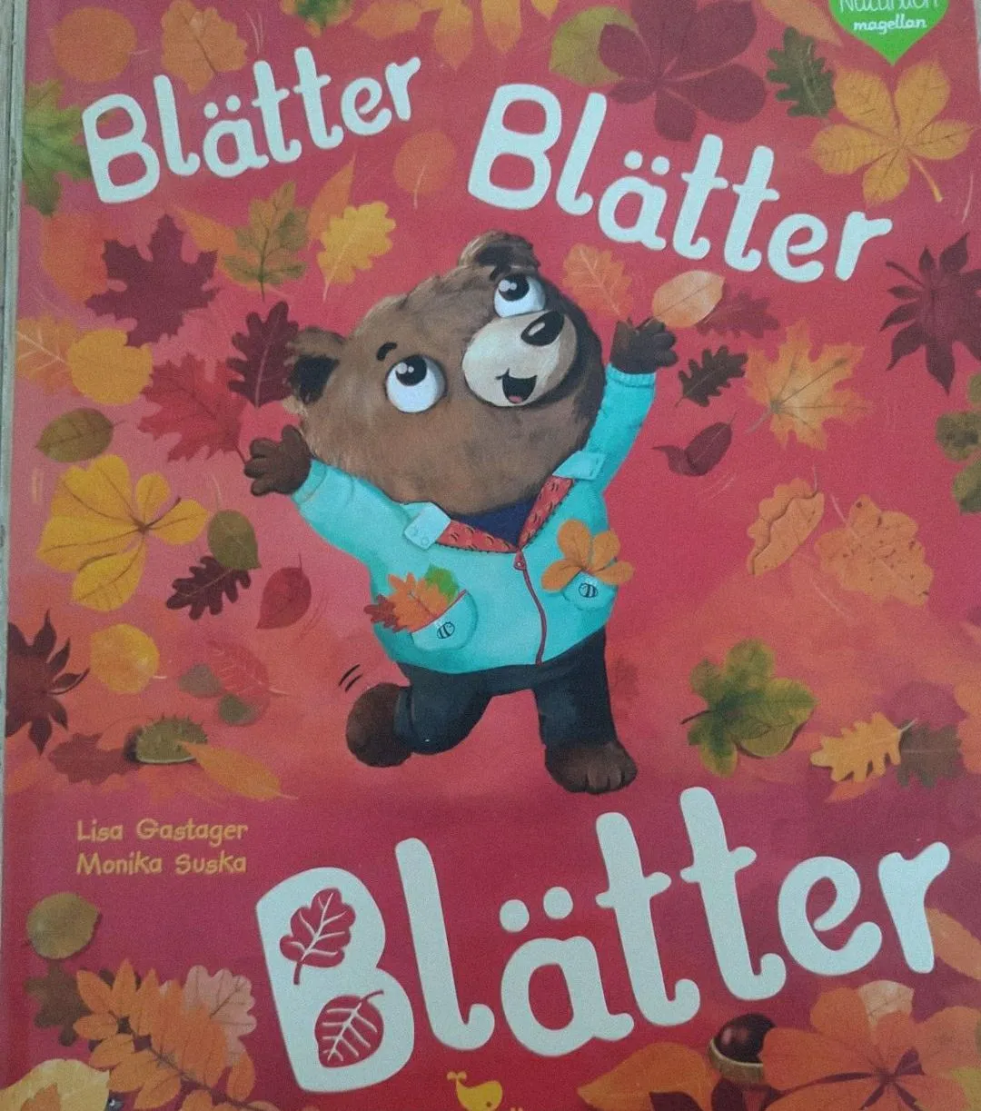 Ein Buchcover mit einem Bären in einem blauen Mantel mit Herbstblättern im Hintergrund.