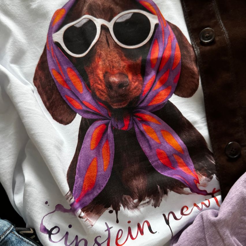 Ein weißes T-Shirt mit einem Dackel, der eine Sonnenbrille und ein Halstuch mit dem Wort Einstein in roten Buchstaben trägt.