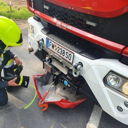 v1_migrated_image_50682079