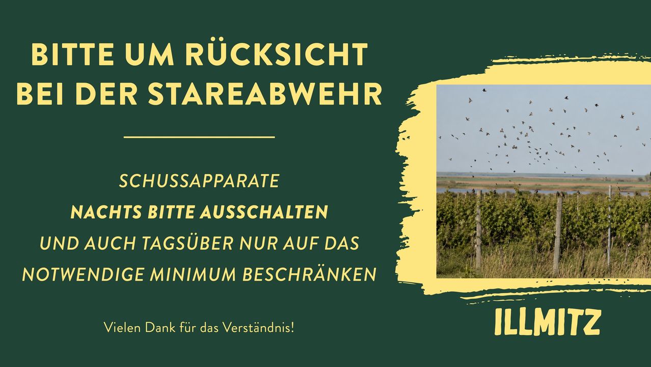 Ein Poster mit grünem Hintergrund und gelbem Text, das 'Um Rücksicht Stareabwehr' besagt. Es enthält ein Bild von Vögeln, die am Himmel fliegen, und eine Bitte, die Geräuschgeräte auszuschalten. Das Poster erwähnt auch, dass Tagesbesuche auf ein Minimum beschränkt werden sollten.