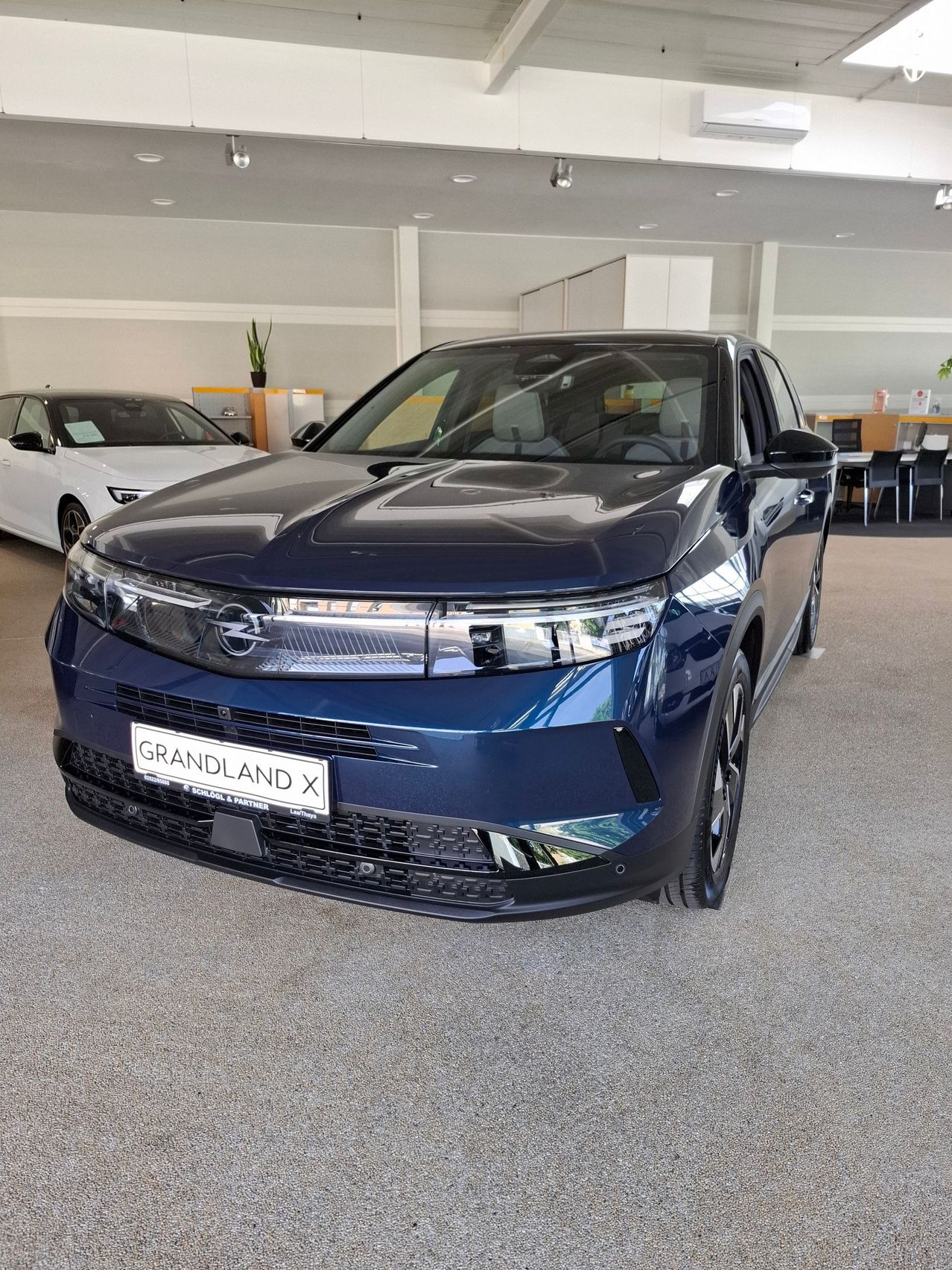 Ein blauer Opel Grandland X steht in einem Showroom, mit einem weißen Auto und einer Pflanze im Hintergrund.