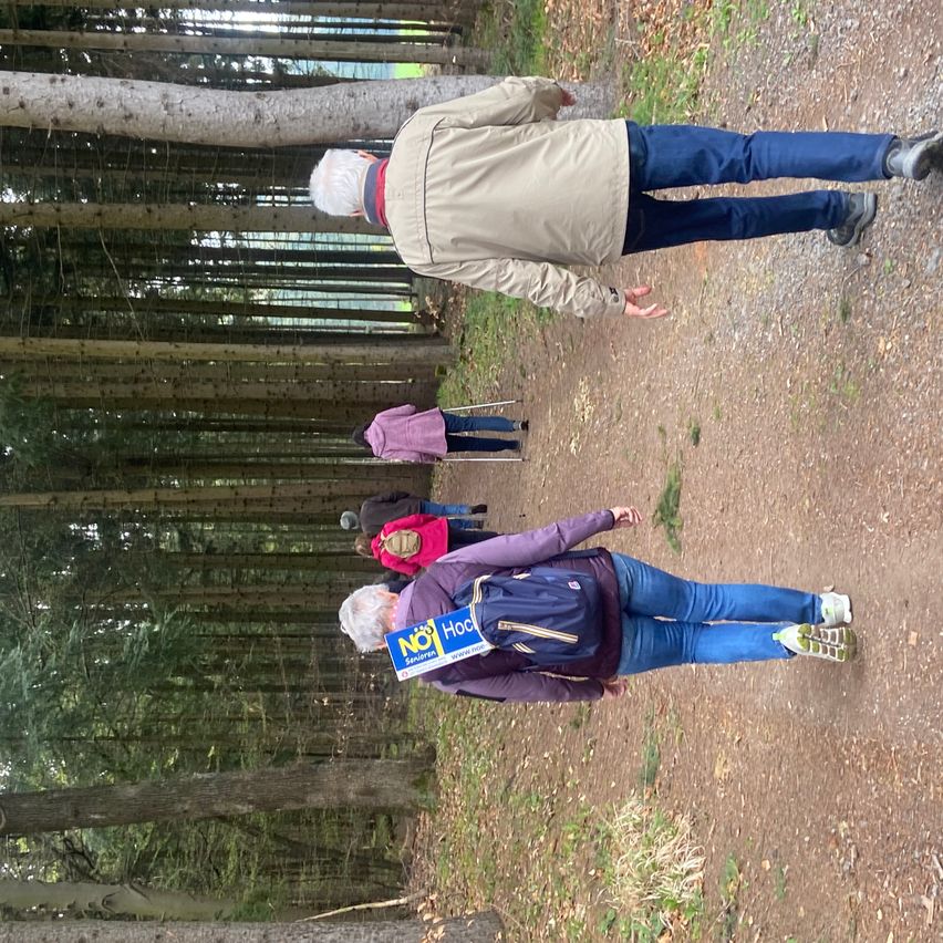 A group of people are hiking on a path through a forest. One person is wearing a purple jacket and a backpack. Another person in the back is using a walking stick.