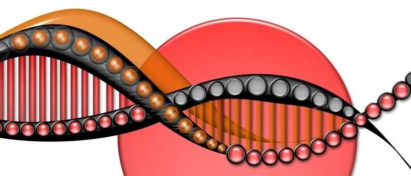 Bild enthält, Musical Instrument, Racket, Harp