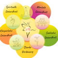 TCM Ernährungsberatung | Detox, Verdauen, Stressresistenz | Vitalergy-Logo