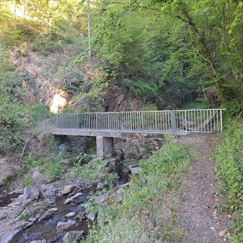 Eine Metallbrücke überspannt einen kleinen Bach, der darunter fließt, umgeben von dichter grüner Vegetation und Steinen.