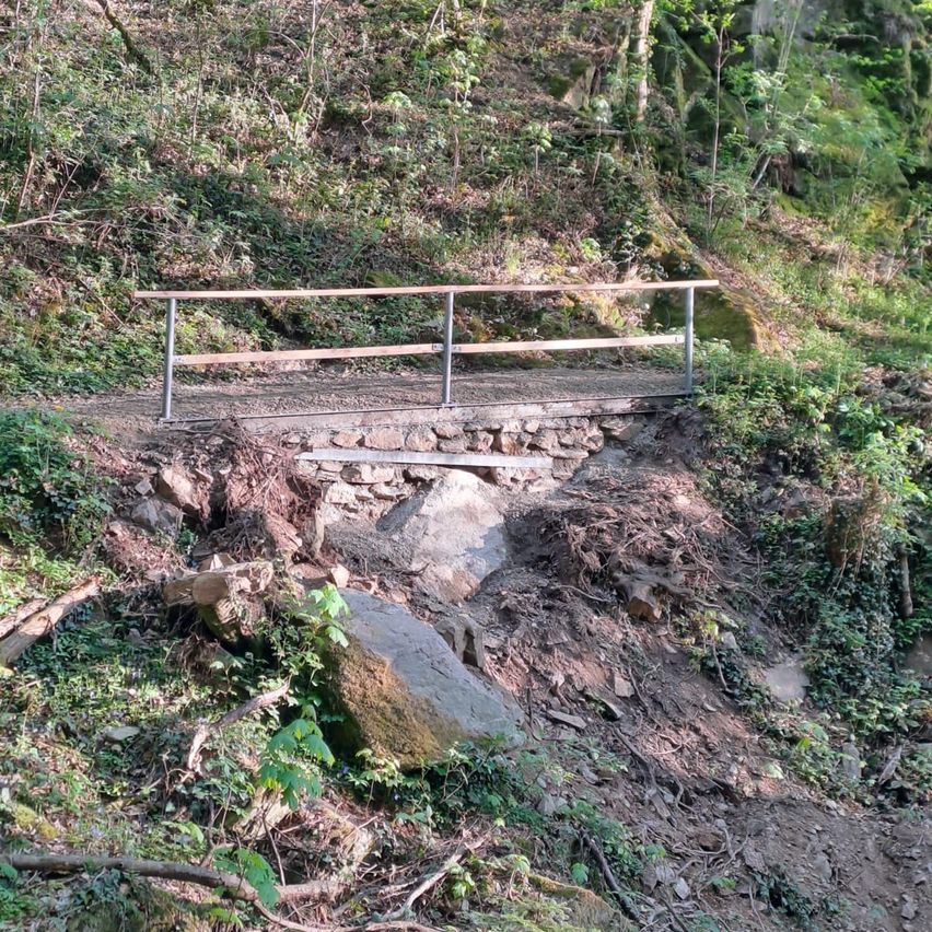 Eine schmale Holzbrücke überspannt einen felsigen Abschnitt eines Waldwegs. Die Brücke hat ein Metallgeländer und ist von Felsen und Grün umgeben.