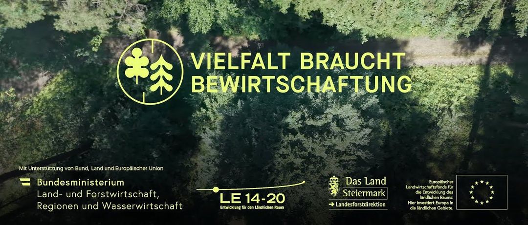 Eine Draufsicht auf einen Wald mit einem Logo und Text darüber. Der Text lautet 'VIELFALT BRAUCHT BEWIRTSCHAFTUNG'. Das Bild enthält auch Logos und Text in Gelb und Weiß.