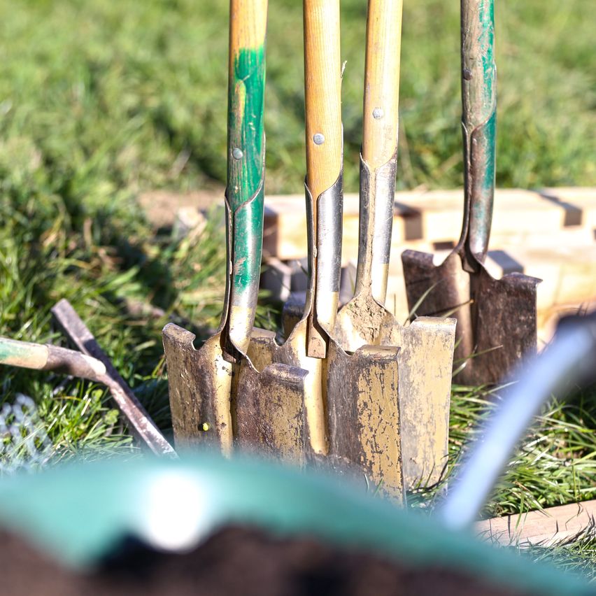 Mehrere Gartenwerkzeuge, darunter Schaufeln und Harken, stehen auf einem Rasen, wobei einige Werkzeuge gegen eine Holzplanke gelehnt sind.