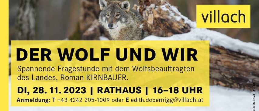 Bild enthält, Animal, Mammal, Red Wolf, Wolf, Coyote, Dog, Advertisement, Poster